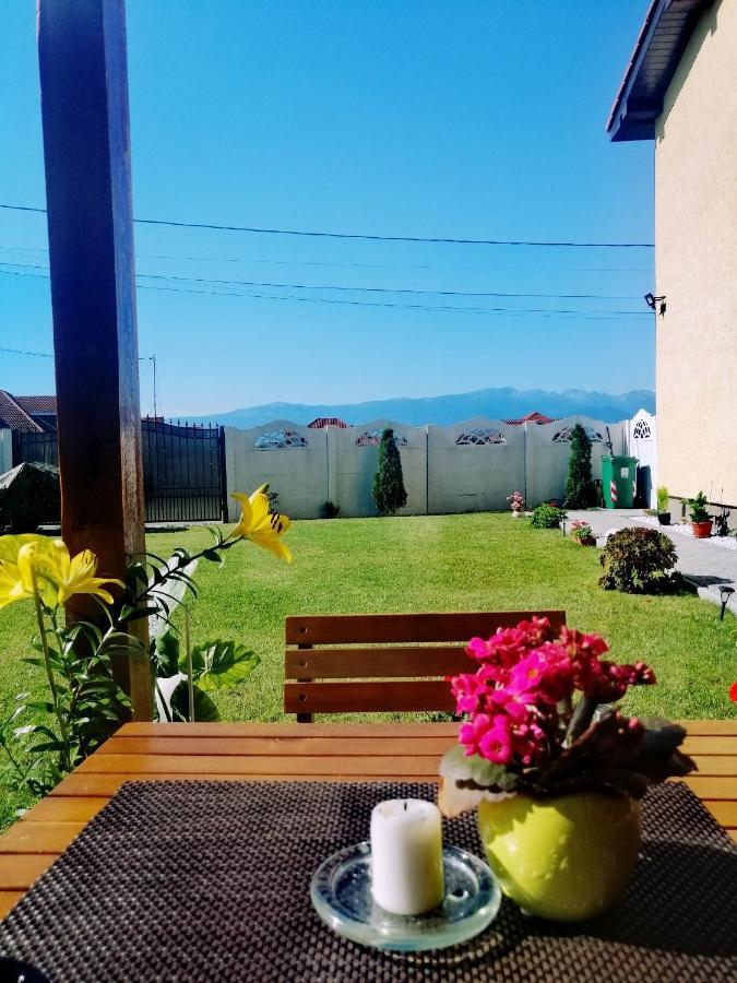 Casa Romeo & Julieta Otel Haţeg Dış mekan fotoğraf