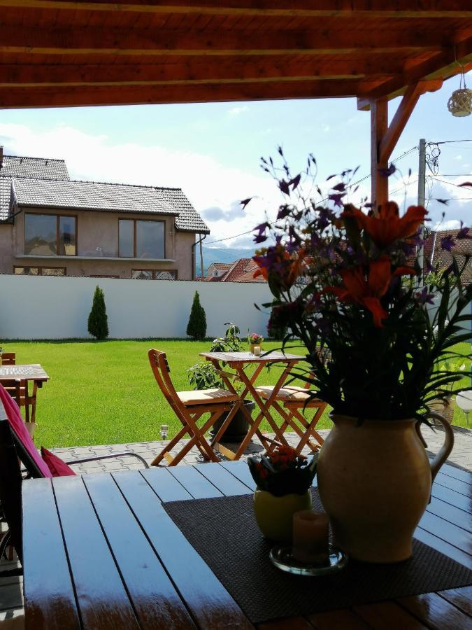 Casa Romeo & Julieta Otel Haţeg Dış mekan fotoğraf